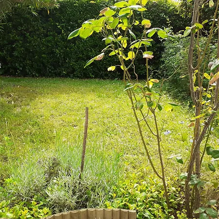 T2 Independant Avec Clim Et Jardin דירה *